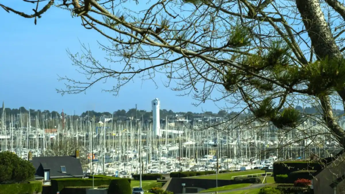 Le port du Crouesty et son phare, vus à travers les pins