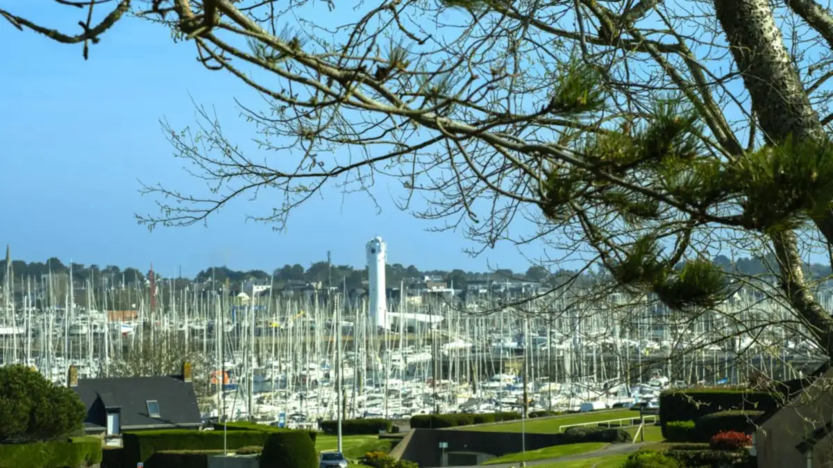 Le port du Crouesty et son phare, vus à travers les pins